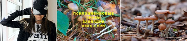 каннабис Медвежьегорск