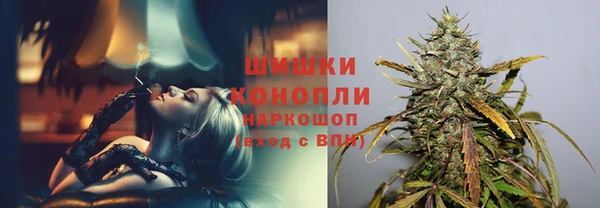 бошки Медногорск