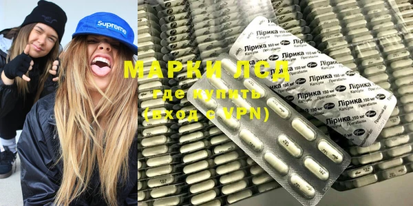 спиды Магас