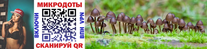 Псилоцибиновые грибы MAGIC MUSHROOMS Юрга