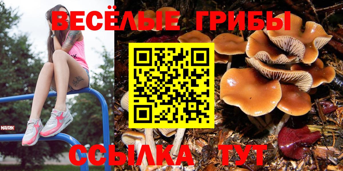 Юрга  Псилоцибиновые грибы прущие грибы  Вход с VPN 
